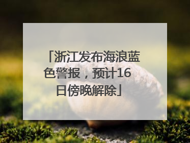 浙江发布海浪蓝色警报，预计16日傍晚解除