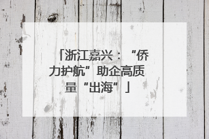 浙江嘉兴：“侨力护航”助企高质量“出海”