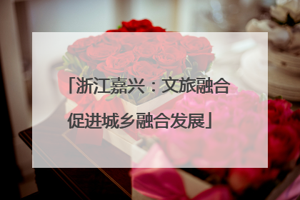 浙江嘉兴：文旅融合促进城乡融合发展