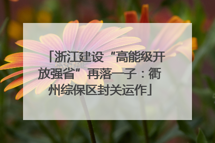 浙江建设“高能级开放强省”再落一子：衢州综保区封关运作