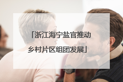 浙江海宁盐官推动乡村片区组团发展