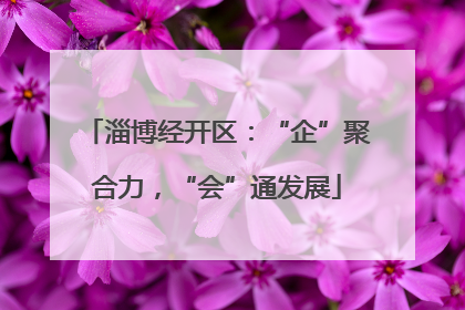 淄博经开区：“企”聚合力，“会”通发展