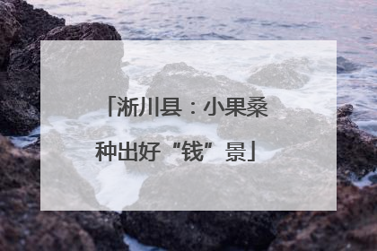 淅川县：小果桑种出好“钱”景