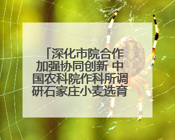 深化市院合作 加强协同创新 中国农科院作科所调研石家庄小麦选育种等工作