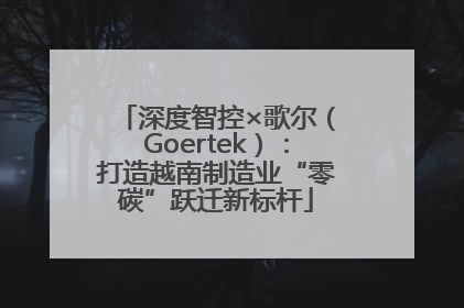深度智控×歌尔（Goertek）：打造越南制造业“零碳”跃迁新标杆