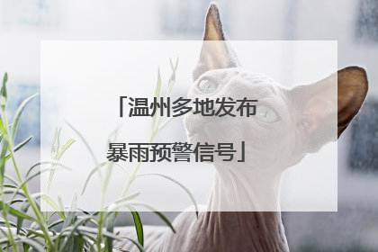 温州多地发布暴雨预警信号