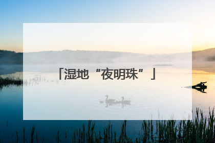 湿地“夜明珠”