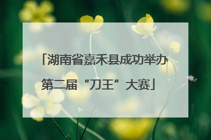 湖南省嘉禾县成功举办第二届“刀王”大赛