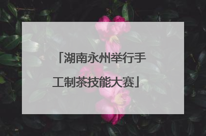 湖南永州举行手工制茶技能大赛