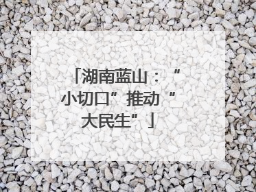 湖南蓝山：“小切口”推动“大民生”
