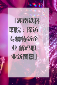 湖南铁科职院：探访专精特新企业 解码职业新图景