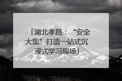 湖北孝昌：“安全大集”打造一站式沉浸式学习现场