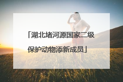 湖北堵河源国家二级保护动物添新成员