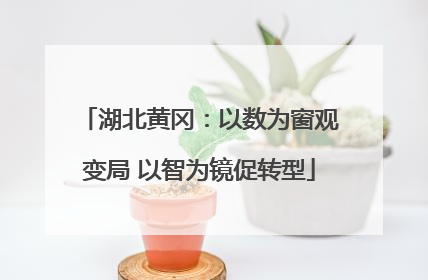 湖北黄冈：以数为窗观变局 以智为镜促转型