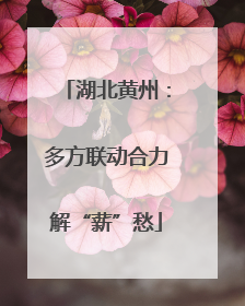 湖北黄州：多方联动合力解“薪”愁