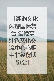 湖湘文化闪耀国际舞台 爱晚亭红色文化交流中心亮相中非经贸博览会