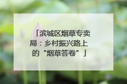 滨城区烟草专卖局：乡村振兴路上的“烟草答卷”