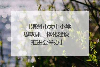 滨州市大中小学思政课一体化建设推进会举办