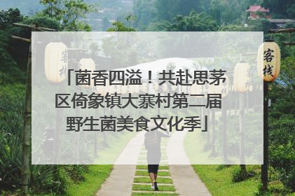 菌香四溢！共赴思茅区倚象镇大寨村第二届野生菌美食文化季