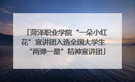 菏泽职业学院“一朵小红花”宣讲团入选全国大学生“两弹一星”精神宣讲团