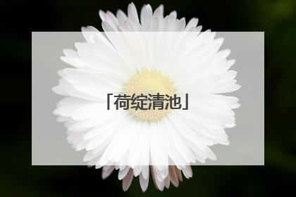 荷绽清池