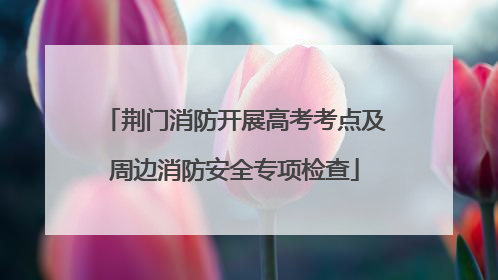 荆门消防开展高考考点及周边消防安全专项检查