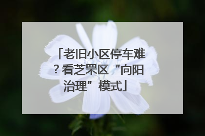 老旧小区停车难？看芝罘区“向阳治理”模式