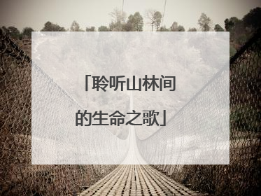 聆听山林间的生命之歌