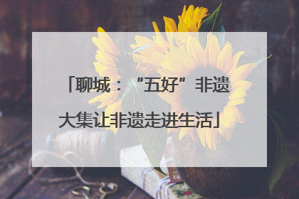 聊城：“五好”非遗大集让非遗走进生活