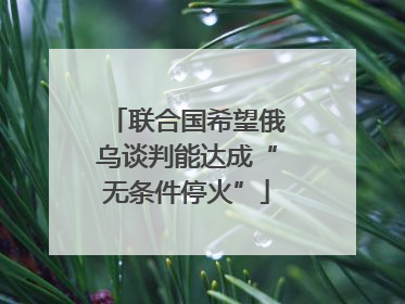 联合国希望俄乌谈判能达成“无条件停火”