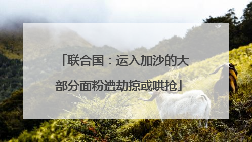联合国：运入加沙的大部分面粉遭劫掠或哄抢