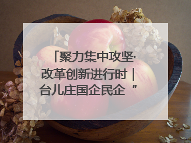 聚力集中攻坚·改革创新进行时｜台儿庄国企民企“联姻”记