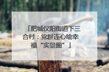 肥城仪阳街道下三合村：党群连心绘幸福“实景图”