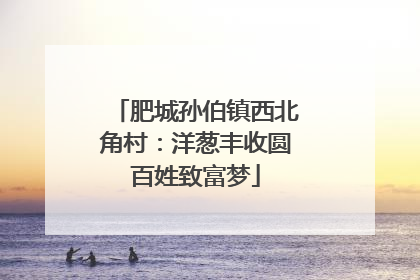 肥城孙伯镇西北角村：洋葱丰收圆百姓致富梦