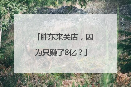 胖东来关店，因为只赚了8亿？
