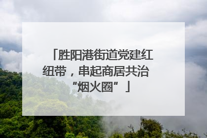 胜阳港街道党建红纽带，串起商居共治 “烟火圈”