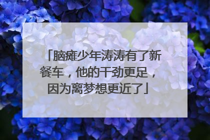 脑瘫少年涛涛有了新餐车，他的干劲更足，因为离梦想更近了