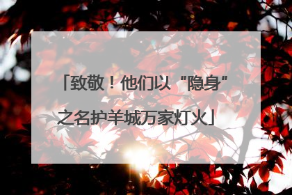 致敬！他们以“隐身”之名护羊城万家灯火