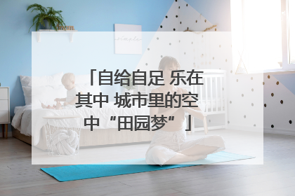自给自足 乐在其中 城市里的空中“田园梦”