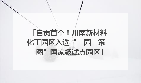 自贡首个！川南新材料化工园区入选“一园一策一图”国家级试点园区