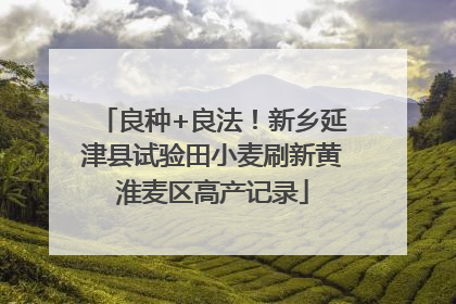良种+良法！新乡延津县试验田小麦刷新黄淮麦区高产记录