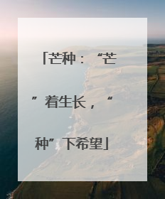 芒种：“芒”着生长，“种”下希望