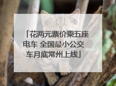 花两元票价乘五座电车 全国最小公交车月底常州上线