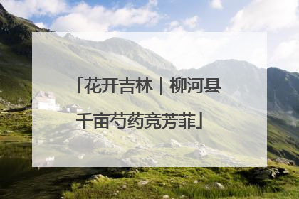花开吉林｜柳河县千亩芍药竞芳菲