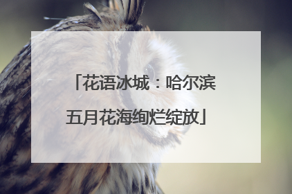 花语冰城：哈尔滨五月花海绚烂绽放