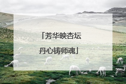 芳华映杏坛 丹心铸师魂