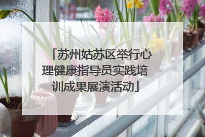 苏州姑苏区举行心理健康指导员实践培训成果展演活动