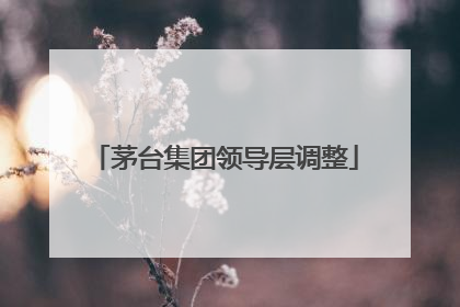 茅台集团领导层调整