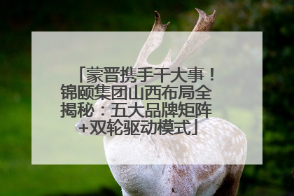 蒙晋携手干大事！锦颐集团山西布局全揭秘：五大品牌矩阵+双轮驱动模式