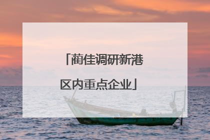 蔺佳调研新港区内重点企业